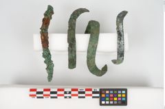 Foto von Bronzeschaukelfußreif (NHMW-PRAE-026631)